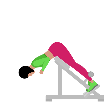 Woman Doing Back Extension Exercise For Legs