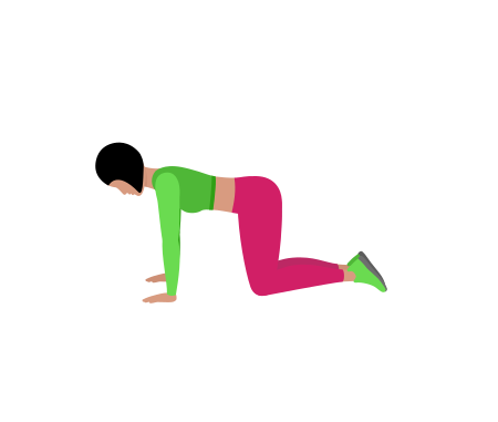 Woman Doing Bird Dog Exercise For Back