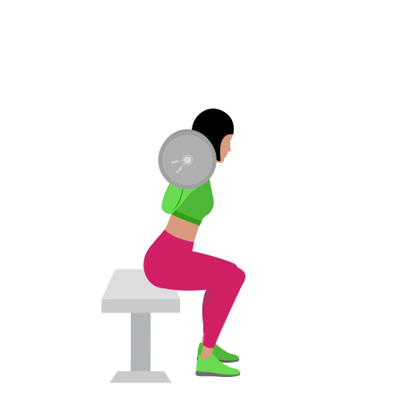 Woman Doing Barbell Bench Squat Exercise For Legs