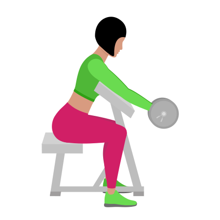 Woman Doing Barbell Preacher Bicep Curl Exercise For Arm