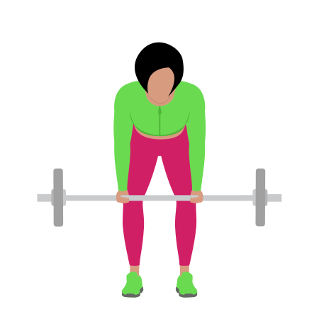 Woman Doing Barbell Reverse Grip Bent Over Row Exercise For Back