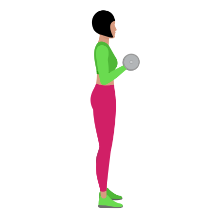 Woman Doing Dumbbell Bicep Curl Exercise For Arm