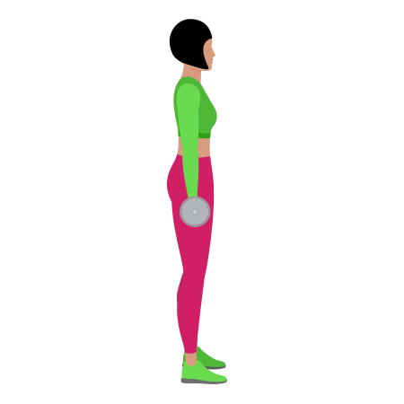 Woman Doing Dumbbell Bicep Curl Alternating Exercise For Arm