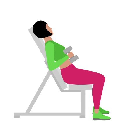 Woman Doing Dumbbell Incline Hammer Curl Exercise For Arm