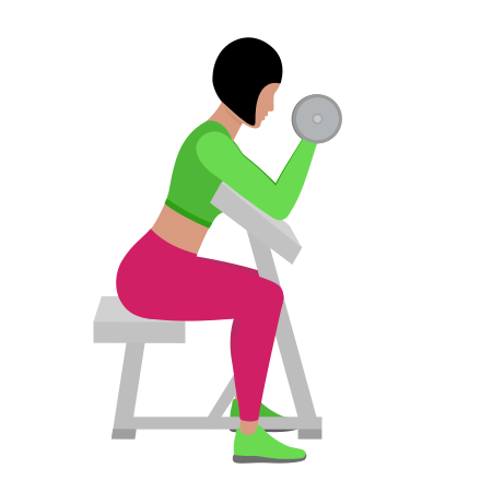 Woman Doing Dumbbell Seated Preacher Bicep Curl Exercise For Bicep