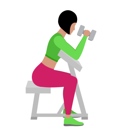 Woman Doing Dumbbell Seated Preacher Hammer Curl Exercise For Arm