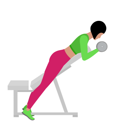 Woman Doing Dumbbell Spider Bicep Curl Exercise For Arm