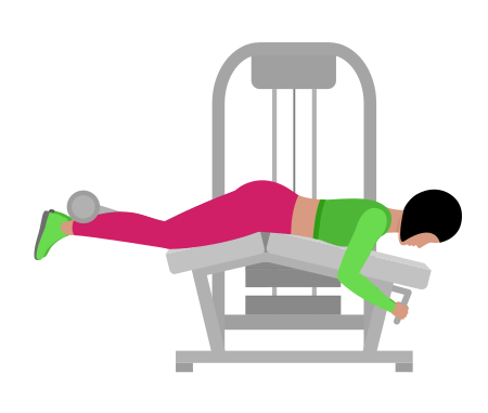 Woman Doing Lever Lying Leg Curl Exercise For Legs