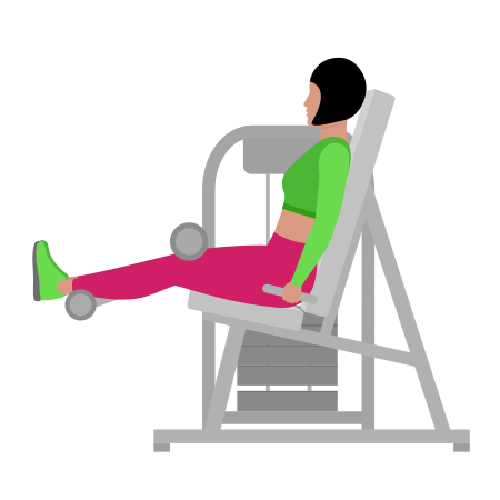 Woman Doing Lever Seated Leg Curl Exercise For Legs