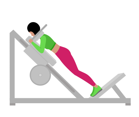 Woman Doing Sled Reverse Hack Squat Exercise For Legs