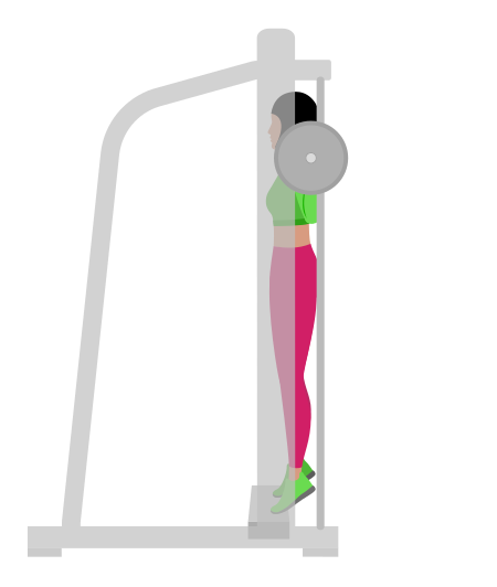 Woman Doing Smith Standing Deficit Calf Raise Exercise For Legs